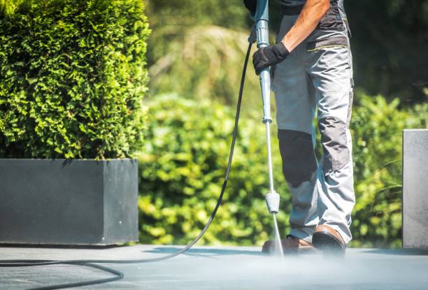 Best Pool Deck Cleaning in Avenue B And C, AZ